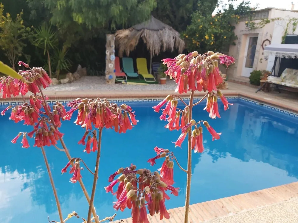 Villa With 6 Bedrooms in Padul, With Wonderful Mountain View, Private