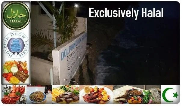 Dolphin Dhow Beach Safaris
