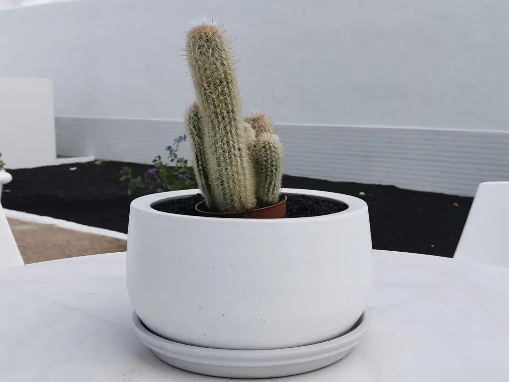 Apartamentos Anjomacar A