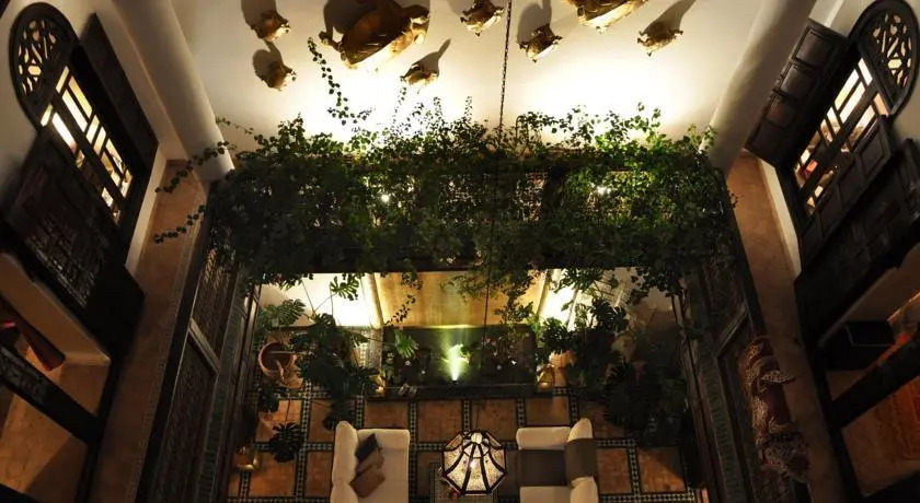 Riad 41