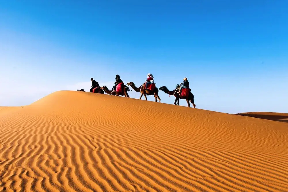 Luxury Sahara Gold Camp