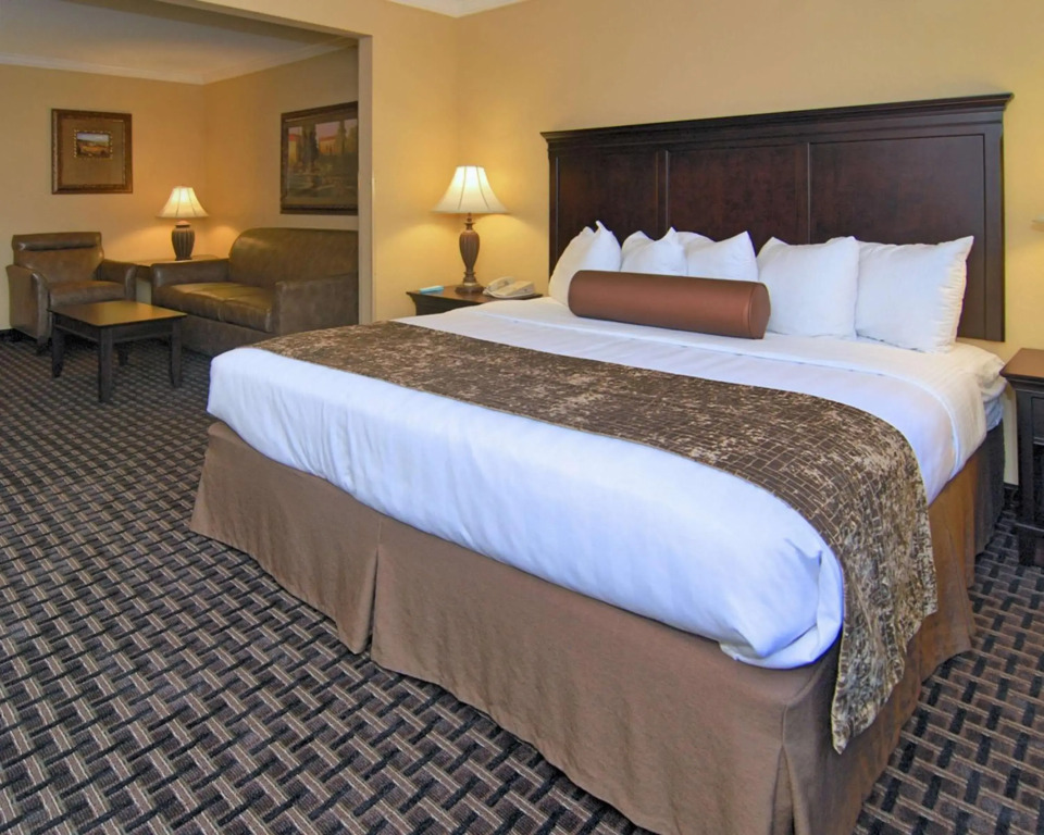 Best Western Plus Southpark Inn & Suites