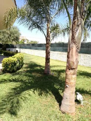 Villa Al Mare