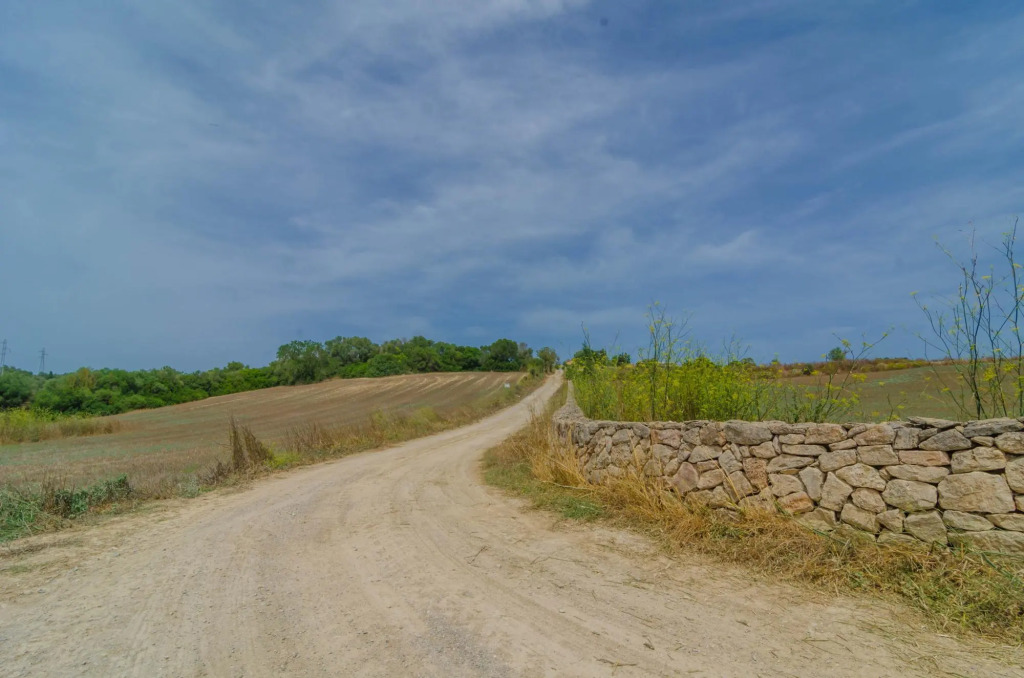 Sa Montanyeta in Manacor