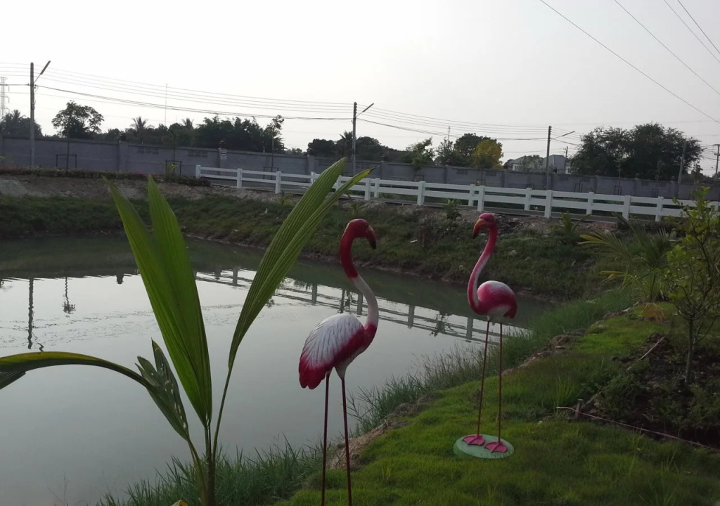 Tokyo Country Inn