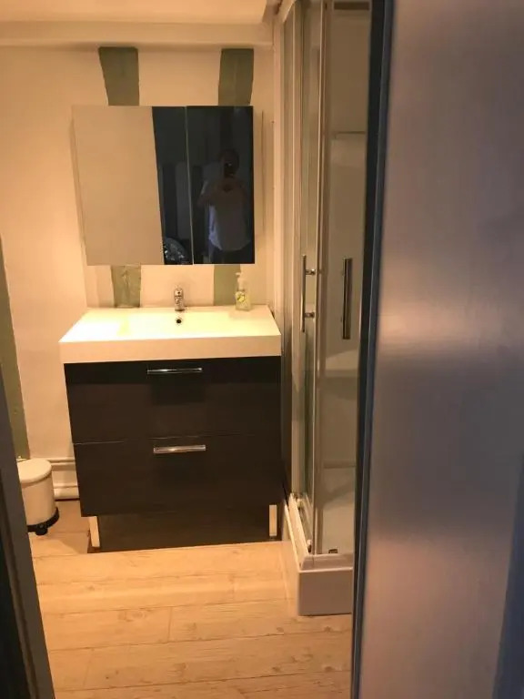 Charmant T1 Vieux Rouen