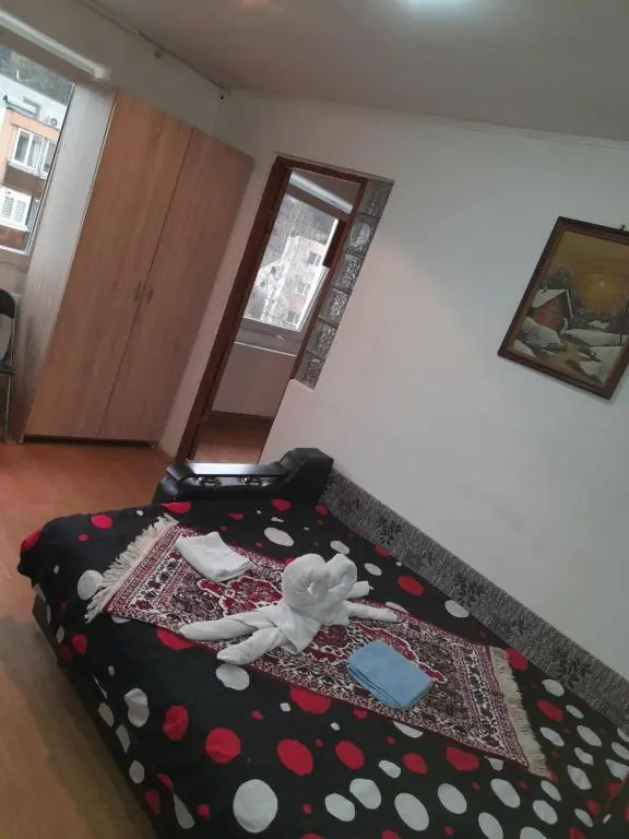 Apartament Sighișoara