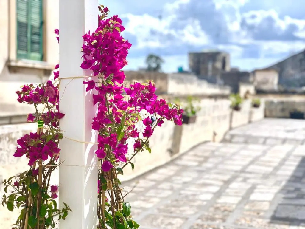 Dimora San Biagio Suites&Apartment