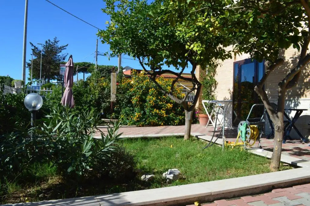 Le Bagnanti Di Miro
