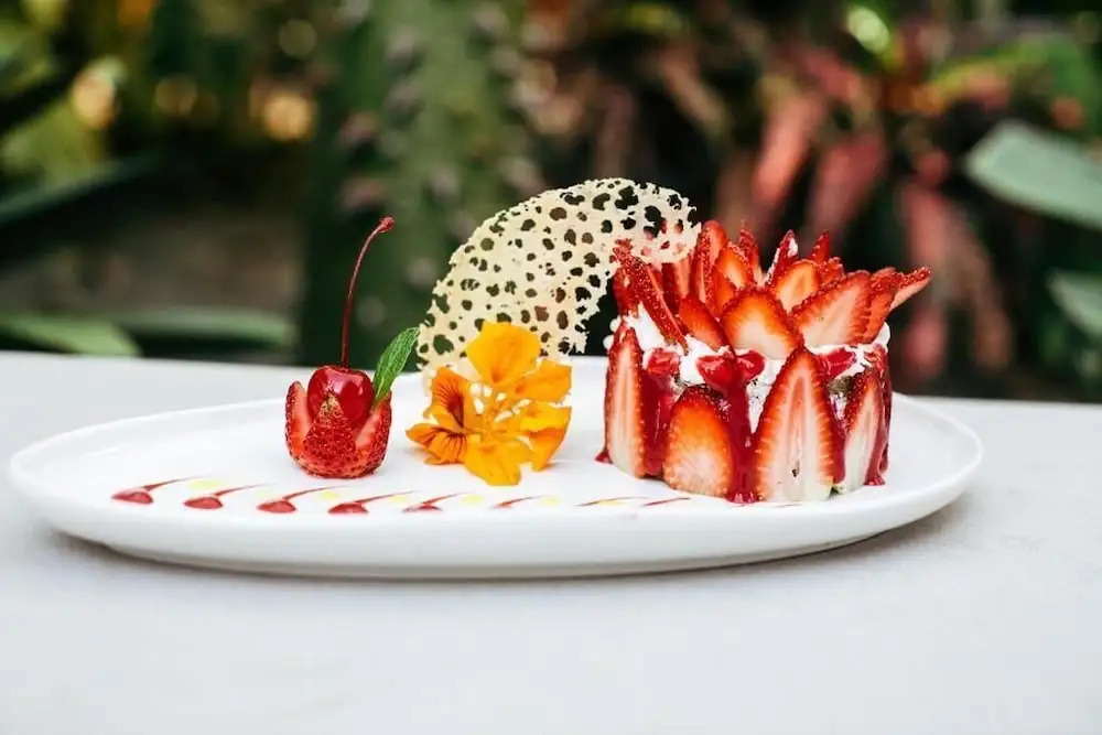 Mother Earth Vegan Hotel & Restaurant