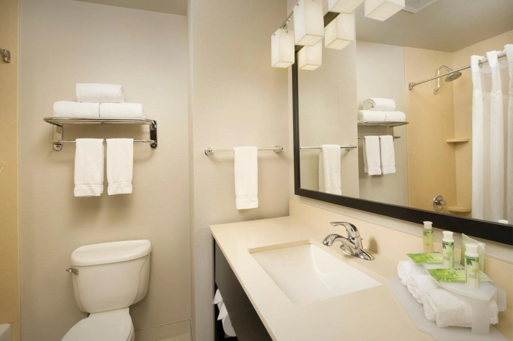 Holiday Inn Express Hotel and Suites DFW-Grapevine by IHG