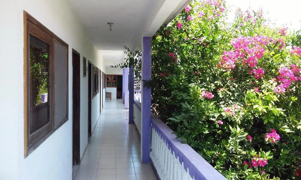 Posada Casa Bugambilias