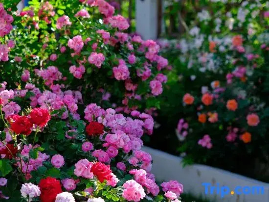 Yining Huatian Bieyuan Homestay (Liuxing Street Scenic Area)