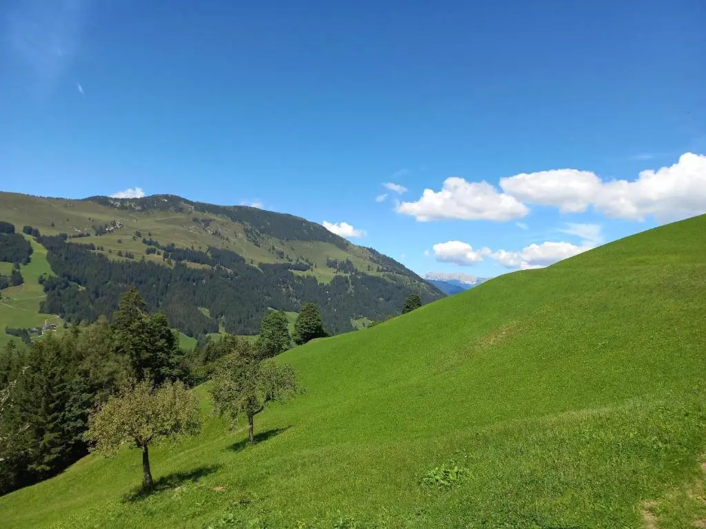 Appartement Bergblick