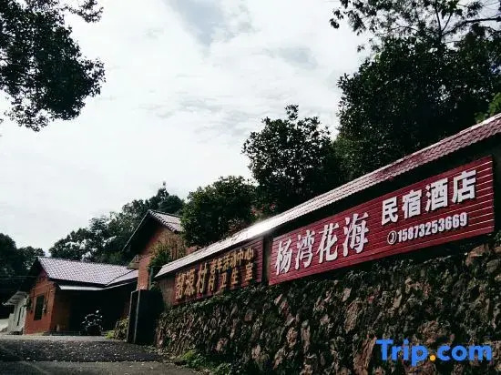 Shaoshan Yangwan Sea of Flowers Homestay