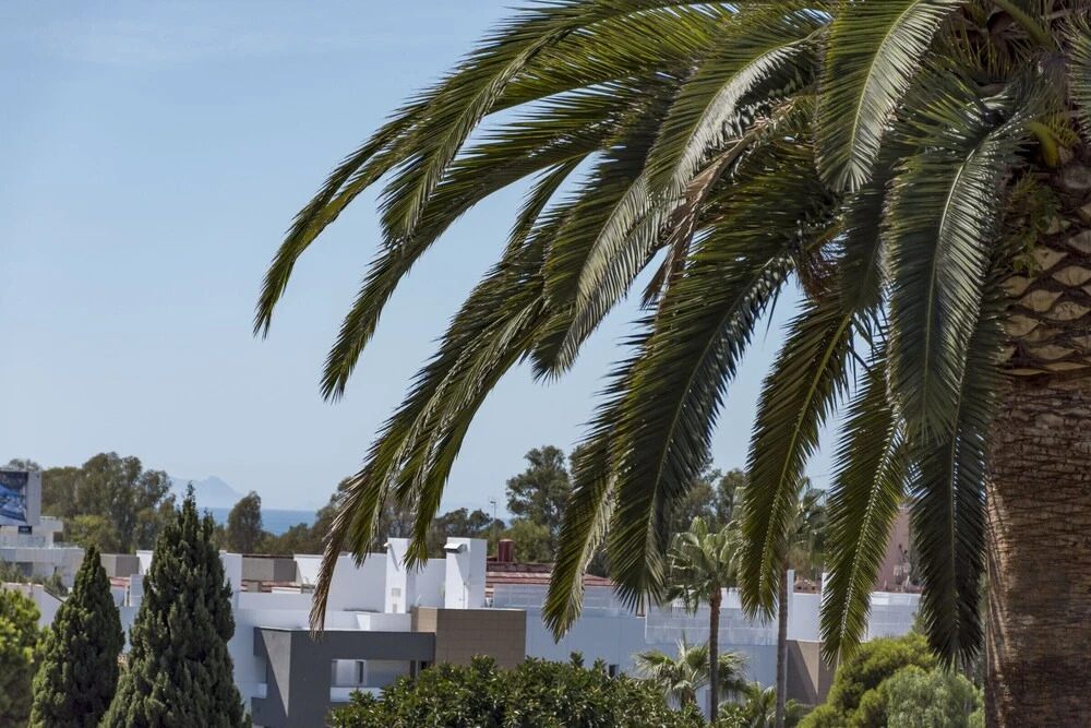 AGC26 - Lovely apart walking distance to Port
