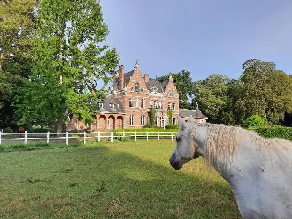 B&B Chateau de Ramegnies-Chin