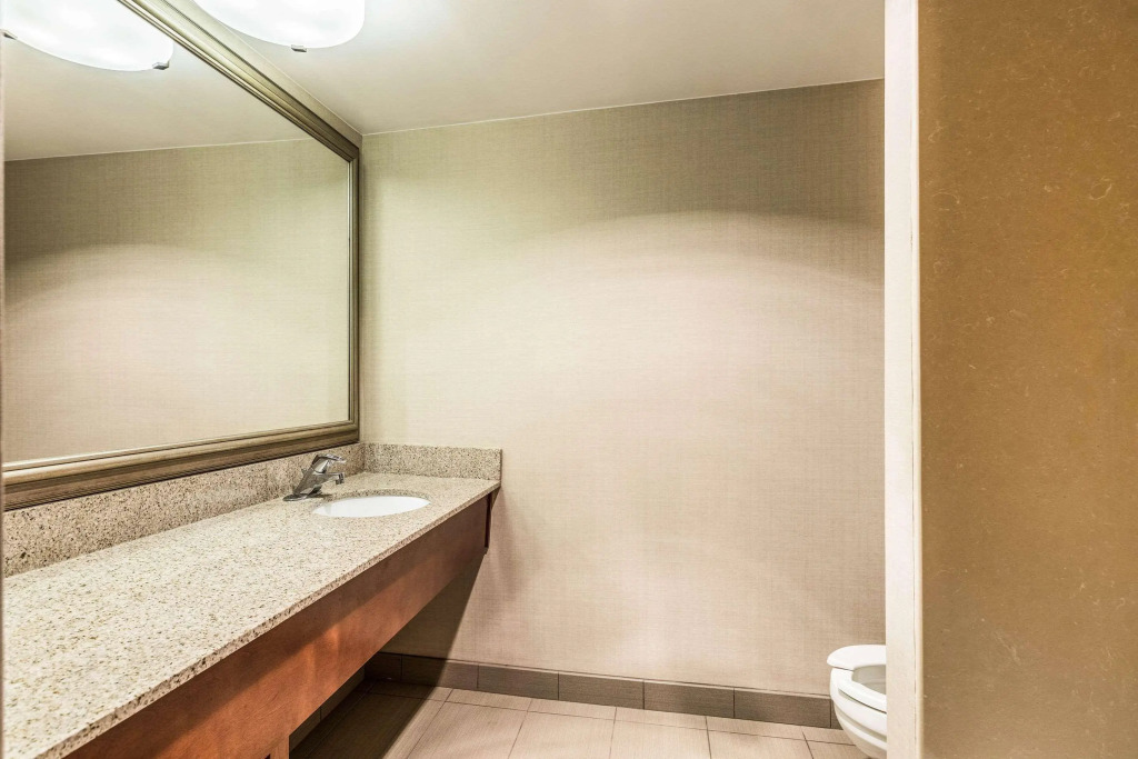 Comfort Inn Lansing West