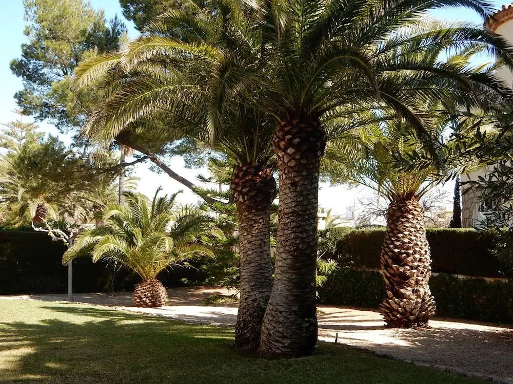 Villa Isalina