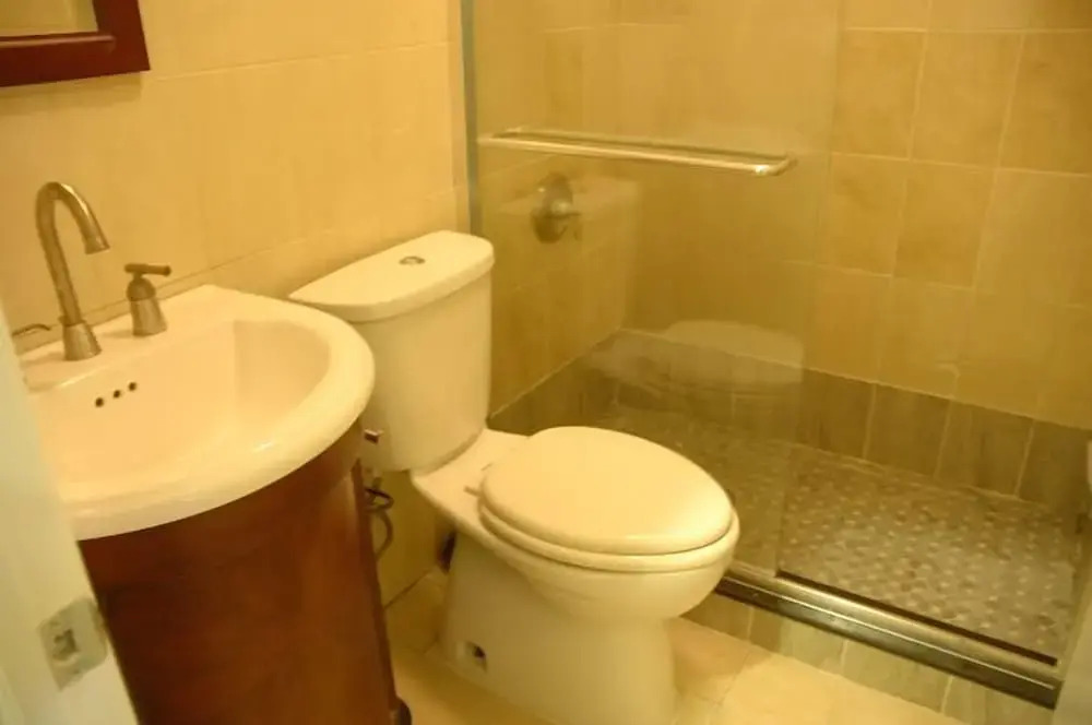 Midtown East 2BR 2Bath Apartment DR 28