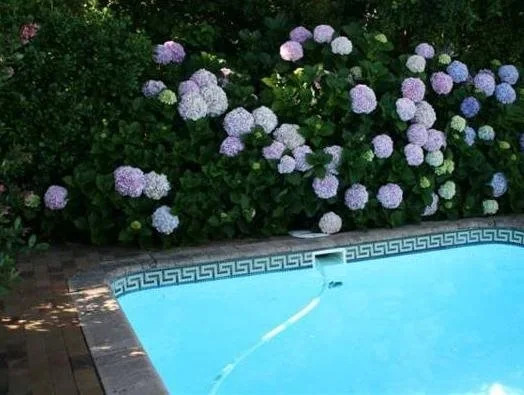 Hortensia Lodge