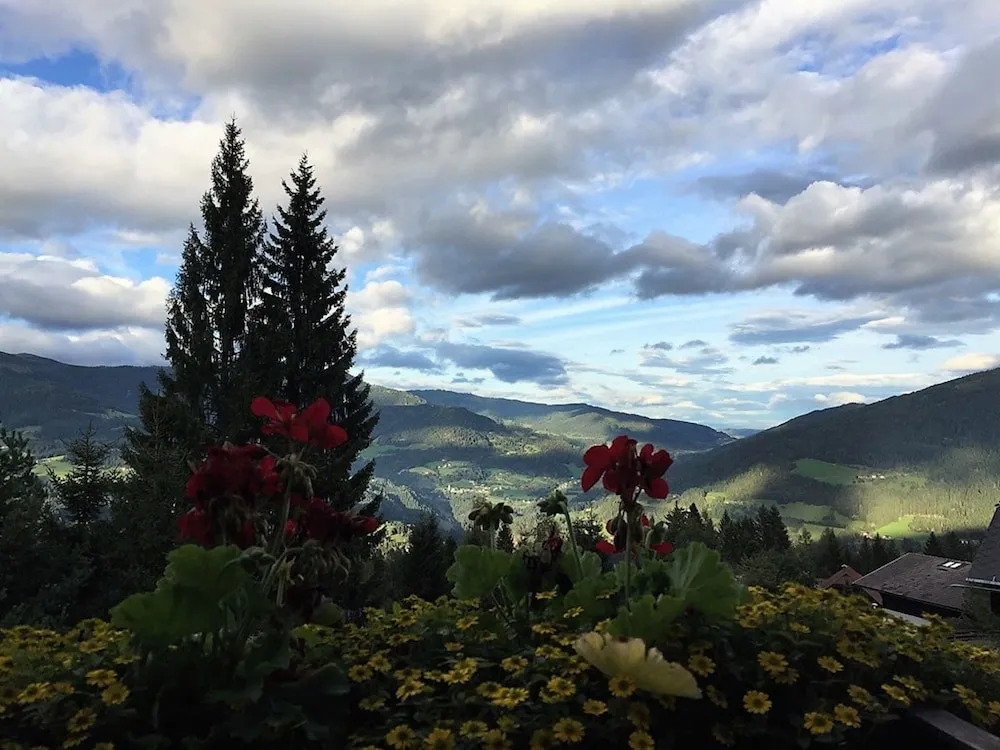 Private Chalet With Sauna in Afritz am See Carinthia