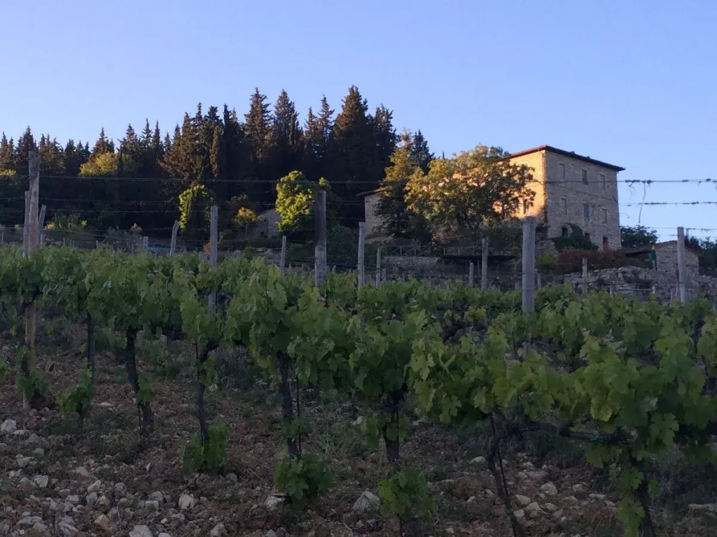 Relais Villa Casalta