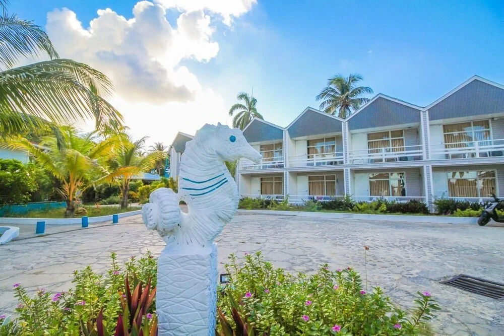 On Vacation Sea Horse