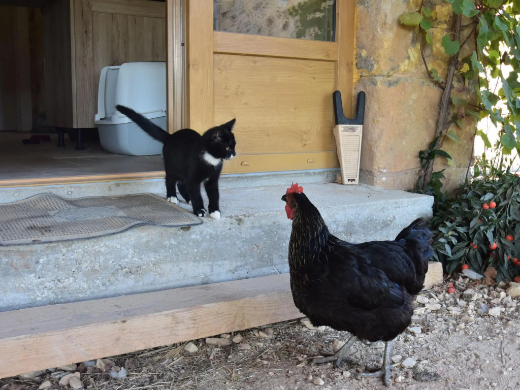 Tranquil Escape in Dordogne