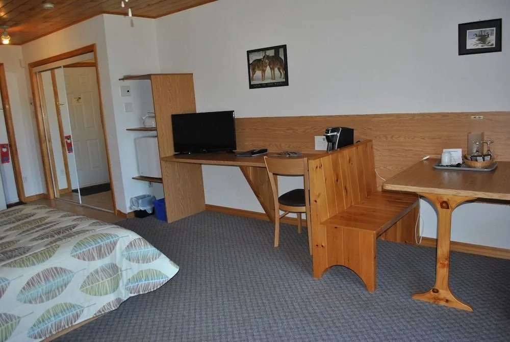 Motel Ours Bleu