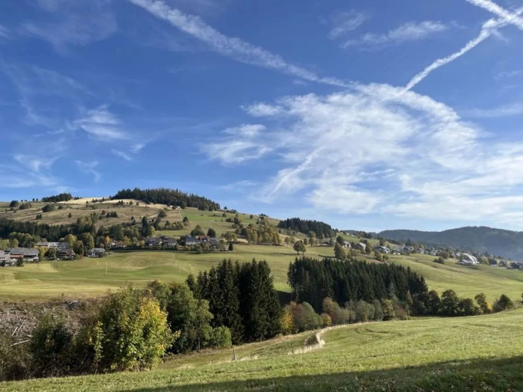 Schwarzwaldblick 30396