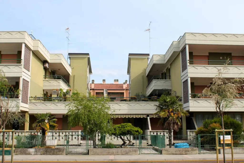 Nettuno 53