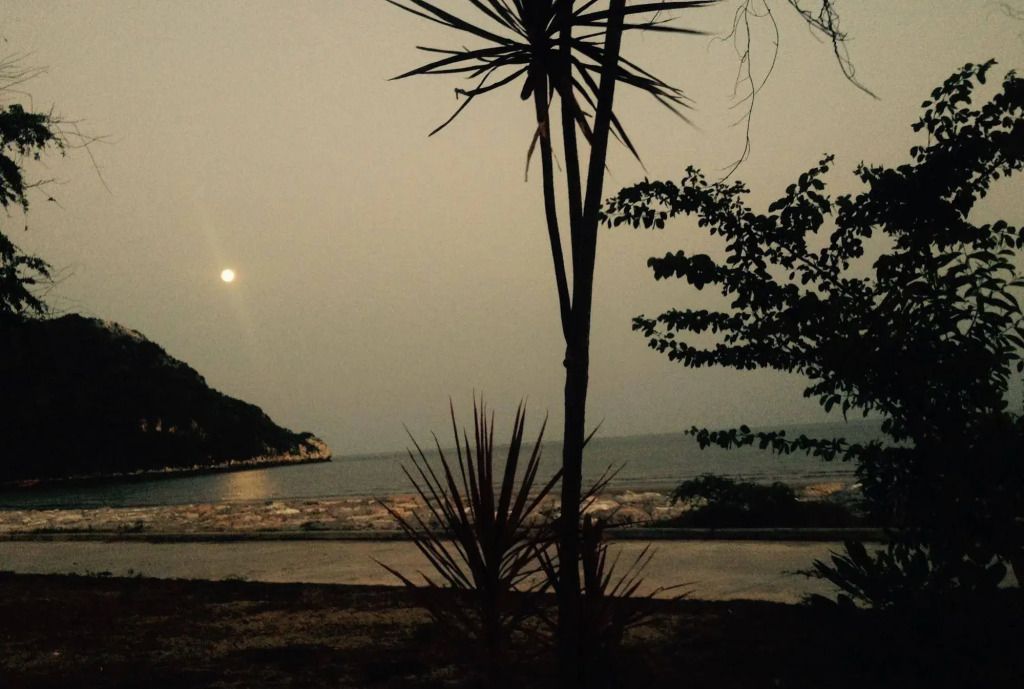Eywa Beach Zone(อีว่า บีช โซน)