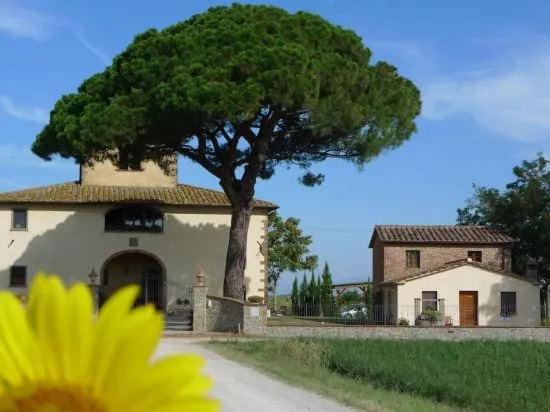 La Leopoldina dei Fabbri