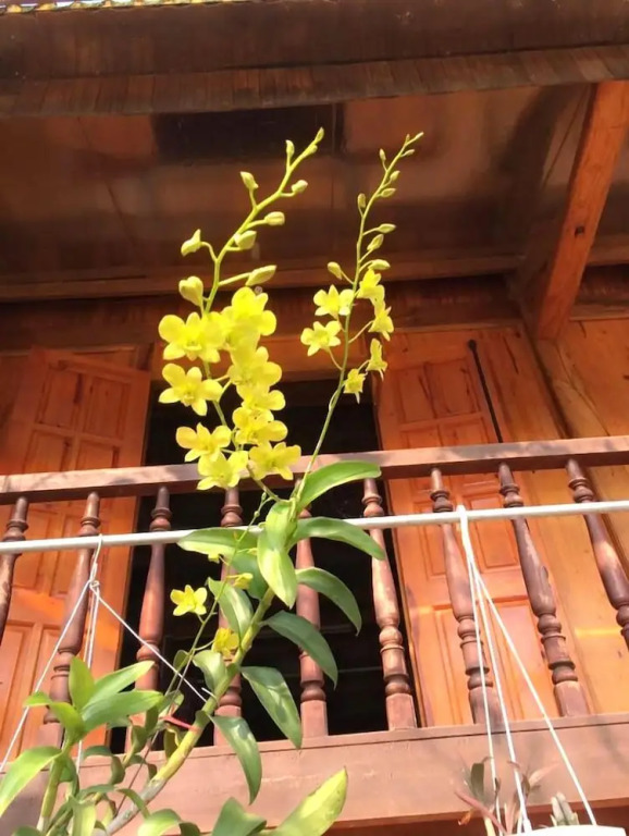 Ba Be Lake View Homestay