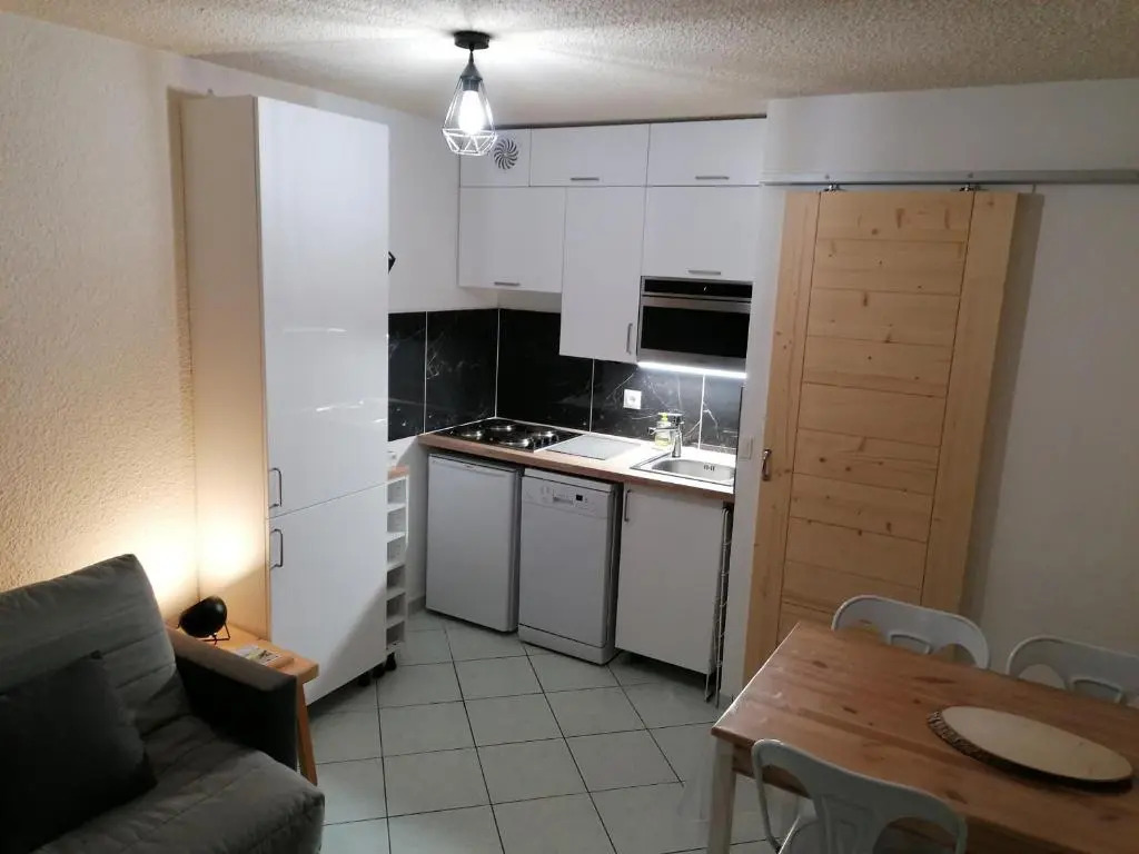 Appartement La Clusaz, 1 pièce, 4 personnes - FR-1-459-64