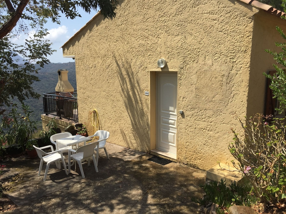 Les Asphodèles
