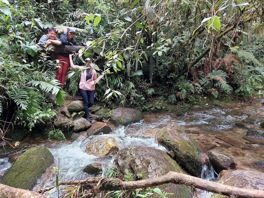 Yolo Hostel Medellin