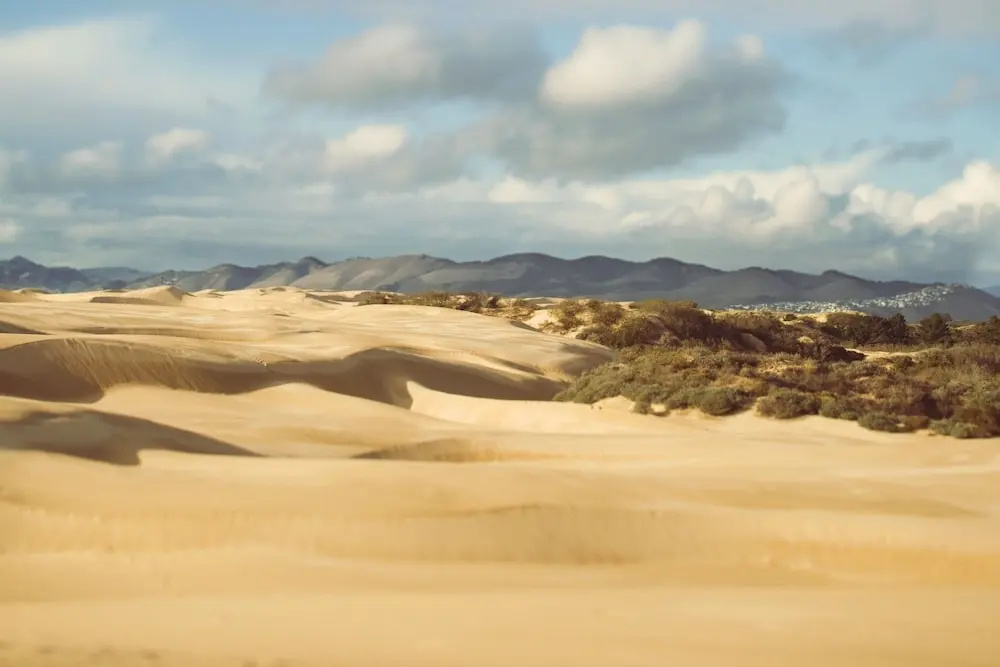 370 Pismo Beach - 3 Br Condo