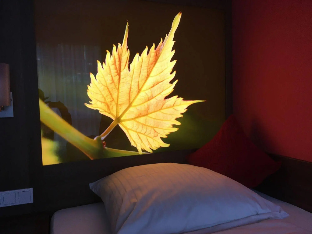 Alembra - Wein Style Hotel