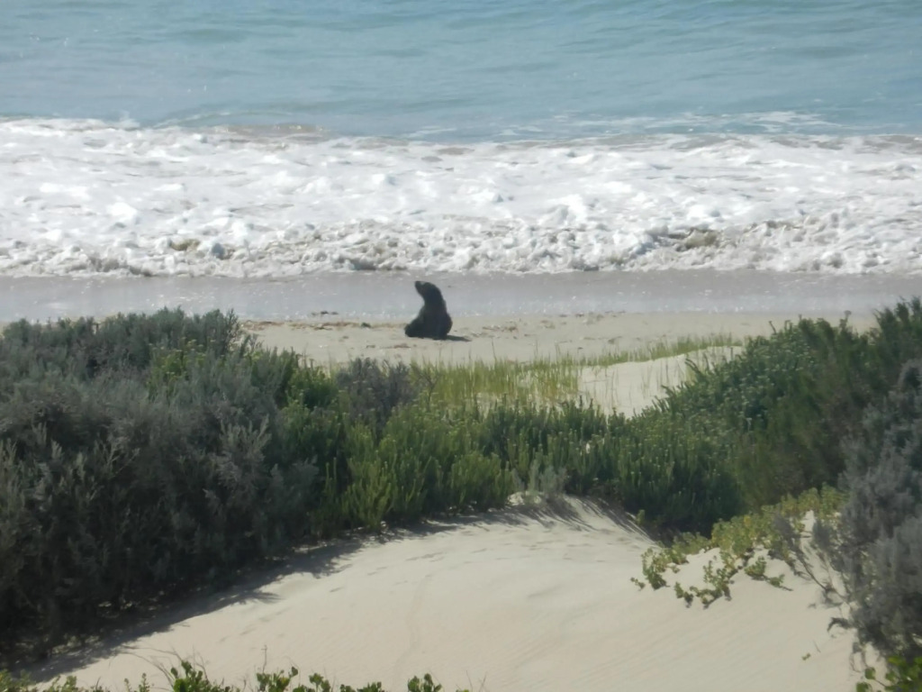 The Sparrow's Nest Beach-Front Self-catering