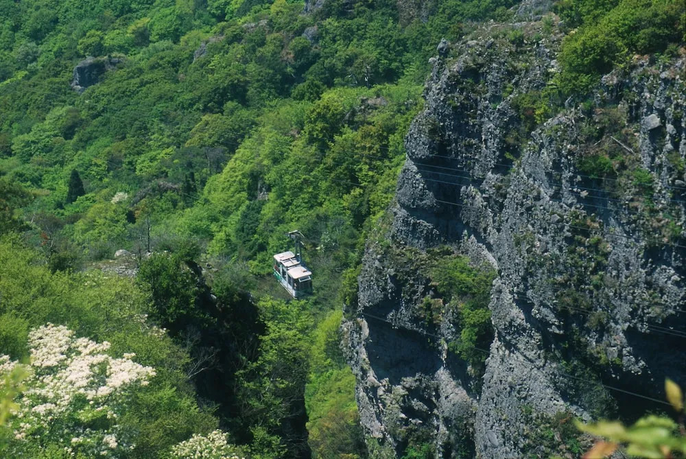 Shodoshima Kokusai Hotel