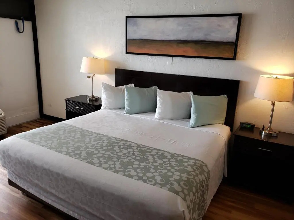 Flamingo Inn Beachfront - Daytona Beach
