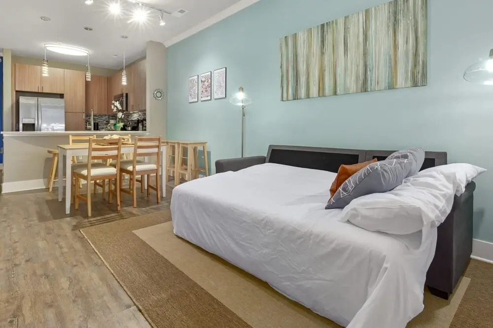 City Living in Downtown Raleigh Luxury Apt 2