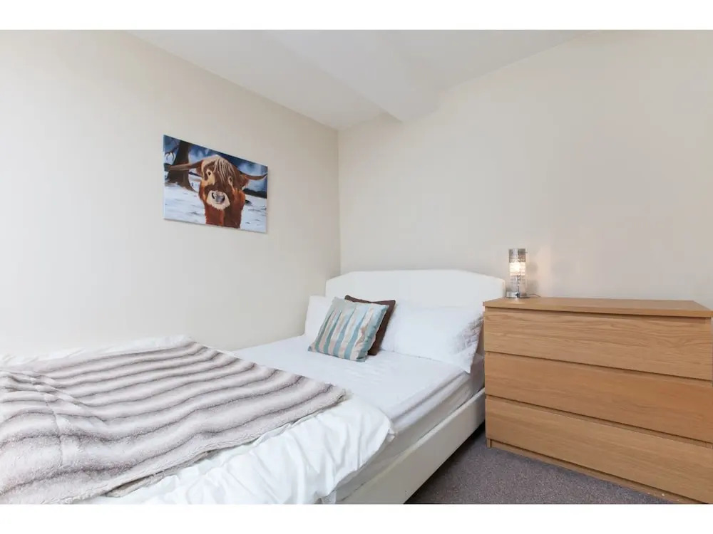 Festival Flat for 4 Overlooking Arthur's Seat