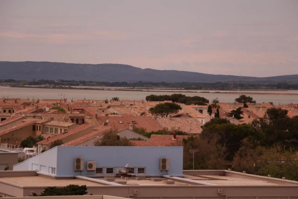 Studio Palavas Proche Plage