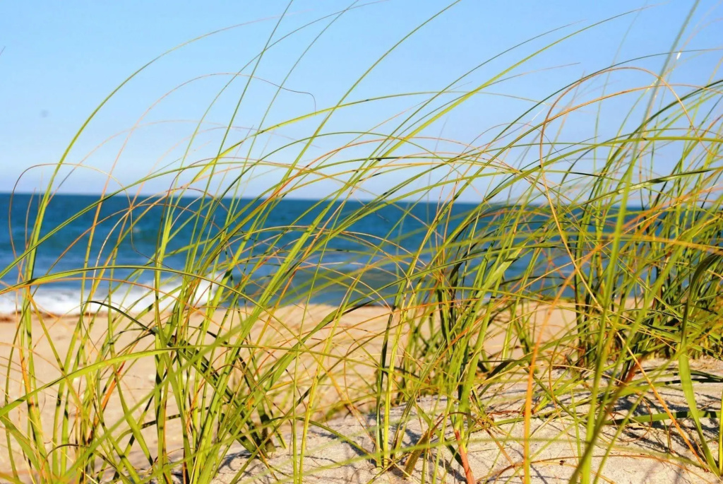 Seaspray Surf Lodge
