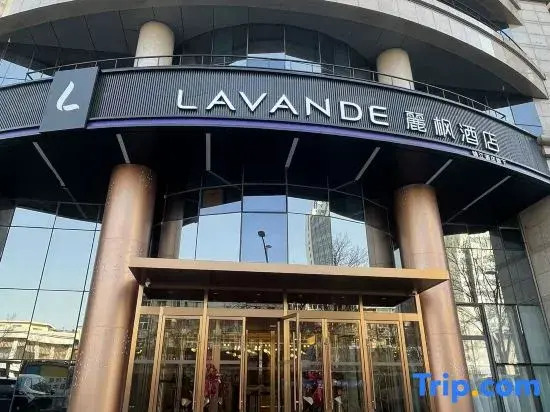 Lavande Hotel（Beijing West Lize business district railway station）
