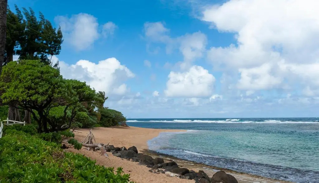 Hanalei Colony Resort E1: intimate beachfront resort in Haena, steps to sand!