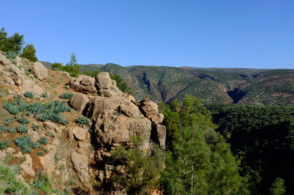 Riad Cascades dOuzoud